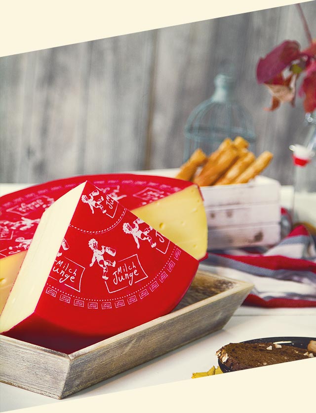 Käse Milchjunge angeschnitten